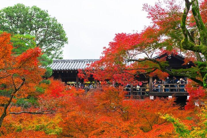 Erkundung des Herbstlaubs: Tofukuji, Fushimi Inari und Uji Tour