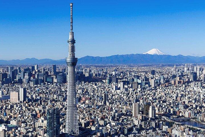 地元の人のように東京を巡るプライベート 1 日ツアー