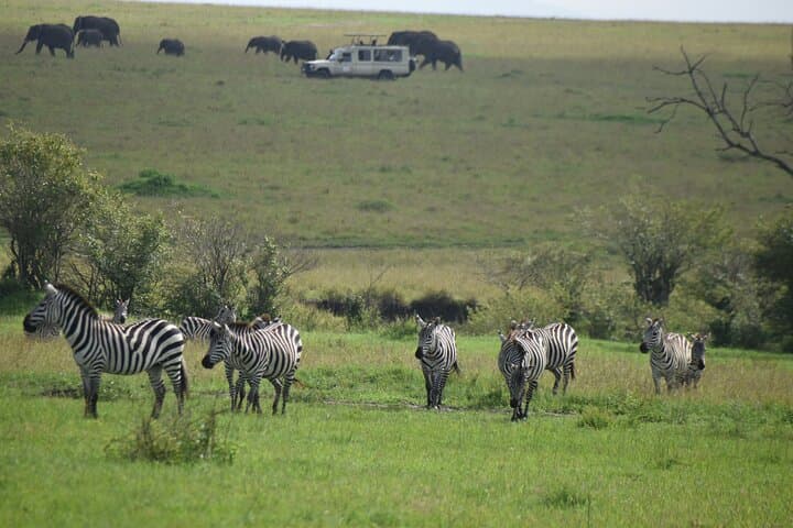 4 Days, 3 Nights Masai Mara National Reserve Safari on 4 x 4 Jeep