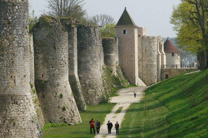 Provins och Fontainebleau Endags privat resa från Paris