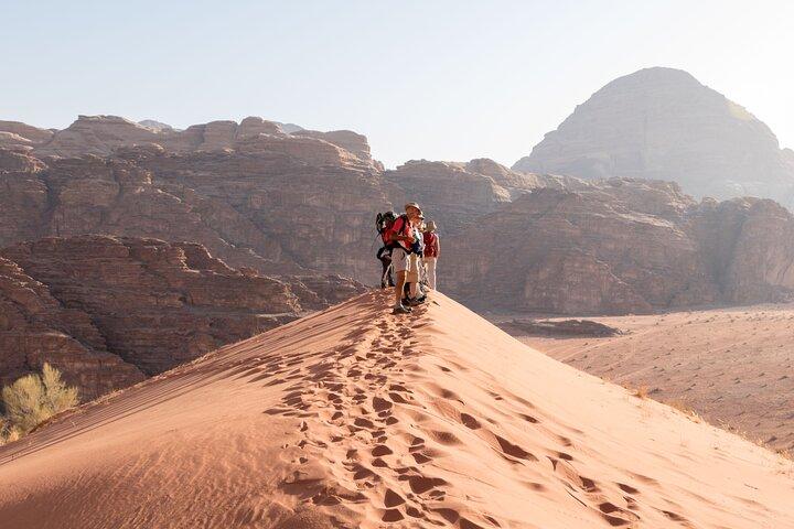 Heldags 8 timmars jeeptur till Wadi Rums skyddade område med vistelse