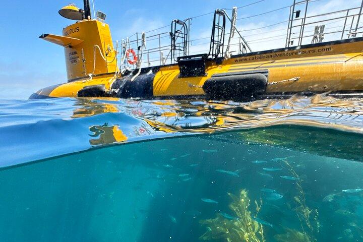 アバロン発、カタリナ島を巡る黄色い半潜水艦ツアー