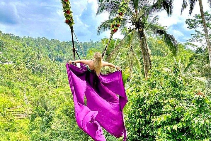 Ulu Petanu Waterfall Monkey Forest And Swing Private Guided Tour