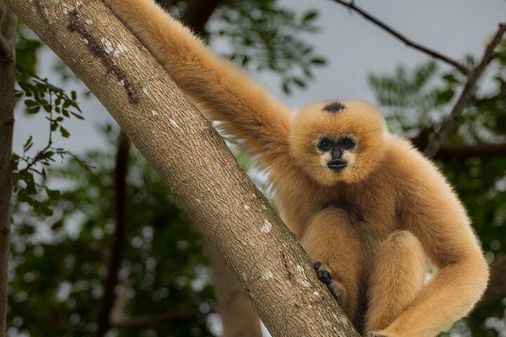 野生動物保護センターの見学