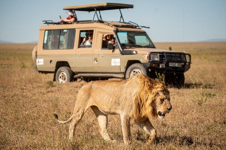 7-dages premium luksus Tanzania Safari alt inklusive