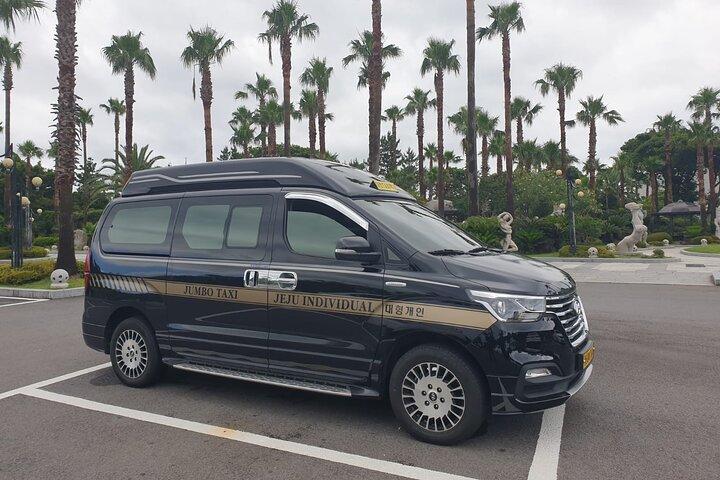 Privétransfer van Seogwipo naar Jeju Airport op het eiland Jeju