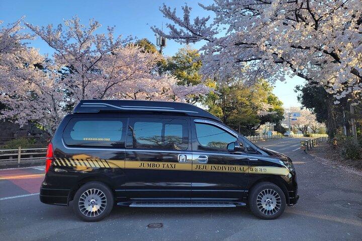 Privétransfer van Seogwipo naar Jeju Airport op het eiland Jeju
