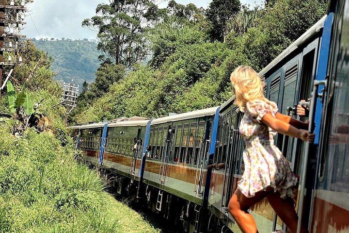 Excursion privée d'une journée à Ella avec trajet en train et visite de Nine Arch