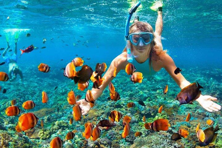 Orange Bay Sea Trip med snorkling og frokost - Hurghada