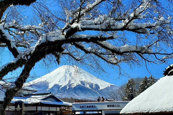 2日 - 1.東京/2.東京から富士山と箱根プライベートツアー