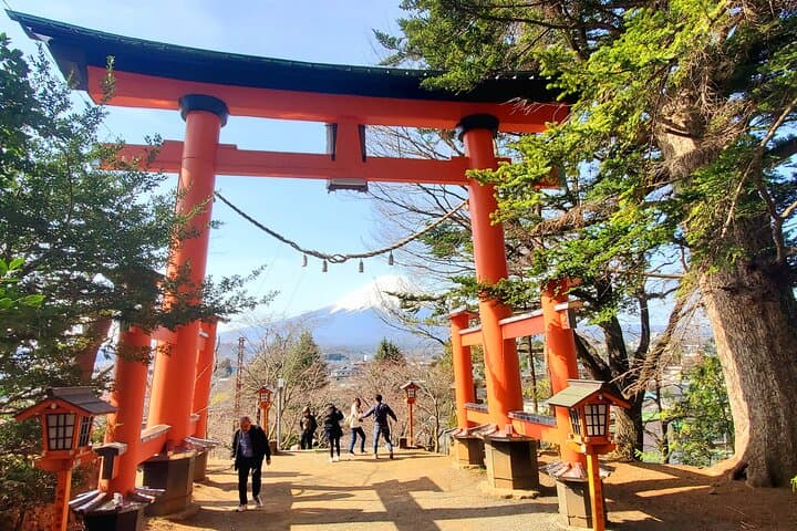 3 Days, 1. Tokyo, 2.Mt. Fuji & 3. Hakone Private Tour from Tokyo