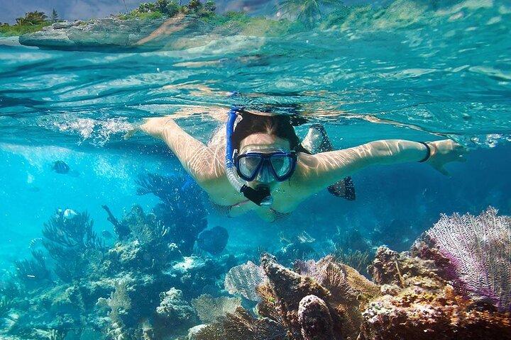 ボートで行くフーコック島 3 島シュノーケリングの素晴らしい 1 日ツアー