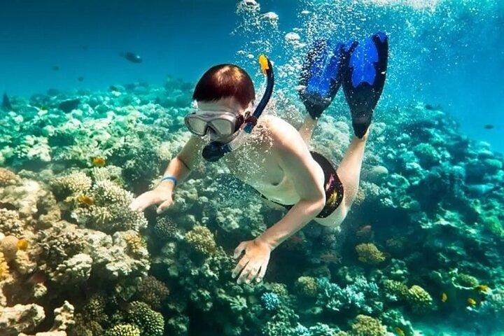 フーコックシュノーケリングと島の発見
