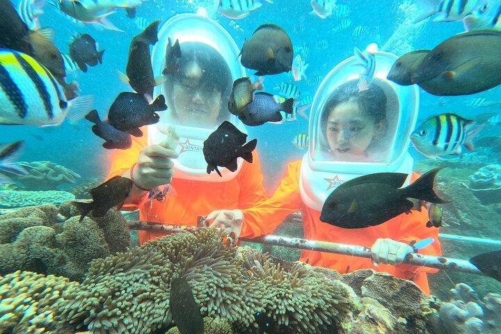 バリ島シーウォーキング体験