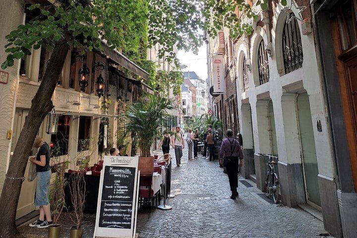 2-timers privat vandretur i Antwerpen
