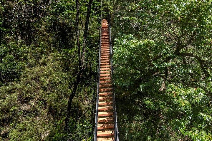 Mega Combo at Hacienda Guachipelin with Waterfall