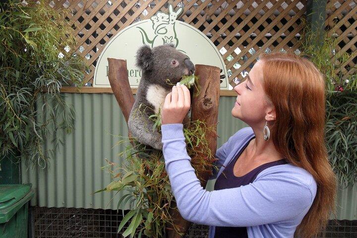 Featherdale Wildlife Park with Exclusive Private Transfers
