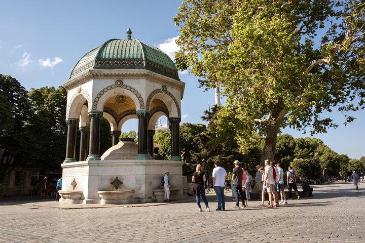 Istanbul : Blå Moské & Hagia Sophia Small-Group Tour med billet