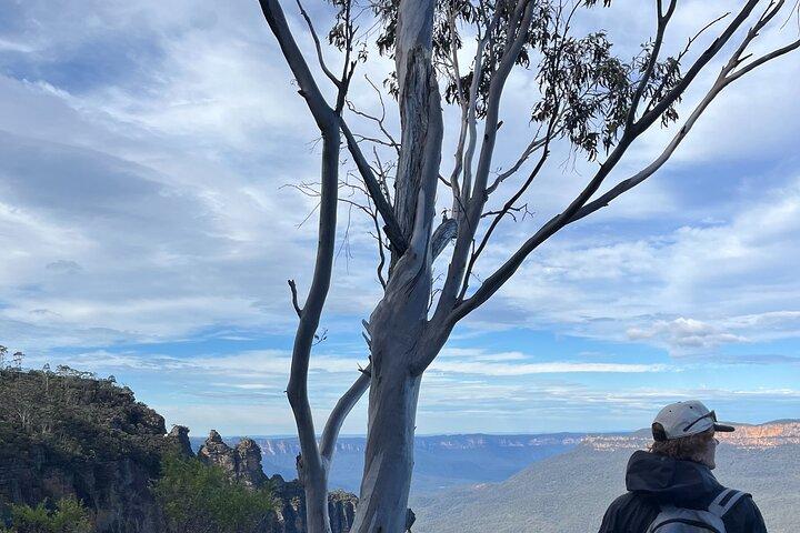 Privat Blue Mountains Eco Day Tour