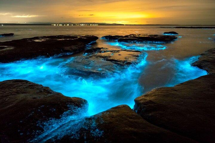 Grand Cayman Bioluminescence Adventure