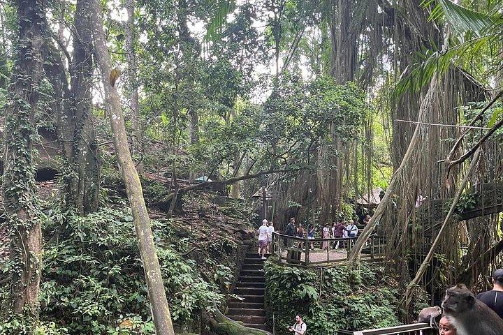 Fuld dag Ubud tur Rafting og ris terrasse med Monkey Forest