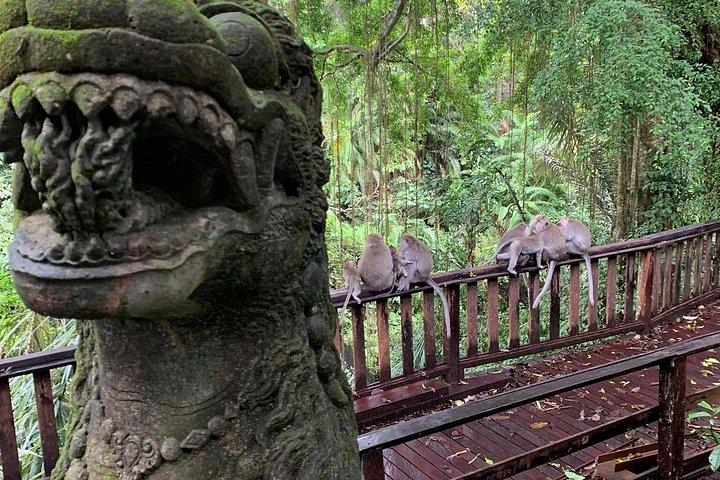 Fuld dag Ubud tur Rafting og ris terrasse med Monkey Forest