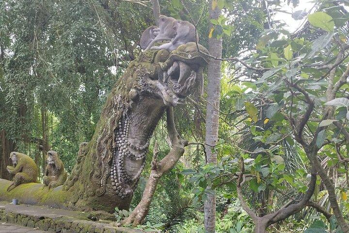 Fuld dag ATV tur, Monkey Forest, Tegalalang ris terrasse