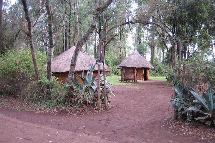 Half Day Private Tour to Bomas of Kenya