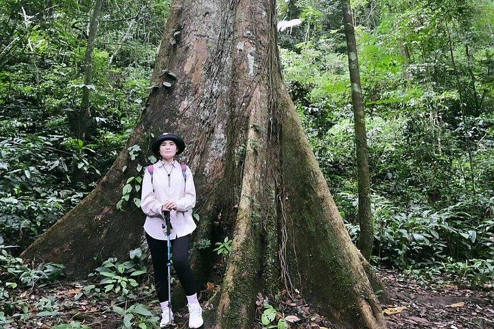 クックフォン国立公園の自然の美しさを満喫するガイド付きトレッキング