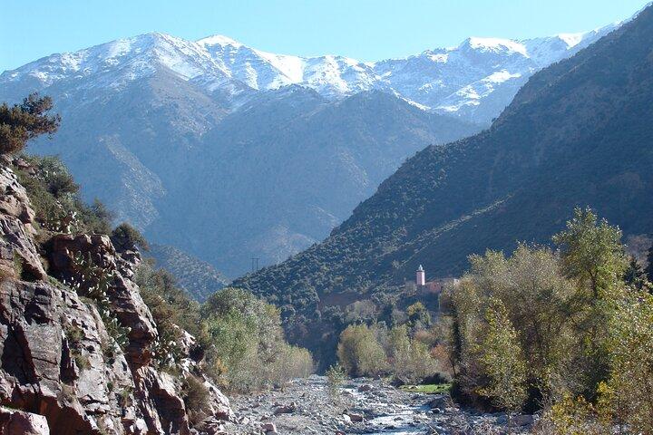 Aus Marrakesch: Atlasgebirge, Ourikatal & Wasserfall
