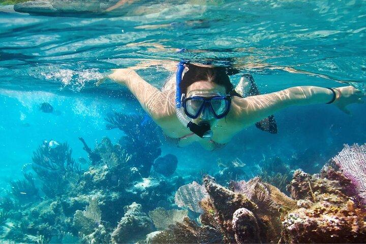 Punta Cana/Bayahibe : Catalina Island Snorkeling & Altos de Chavón