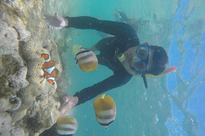 Visite guidée privée en apnée à Gili Nanggu Sudak et Kedis