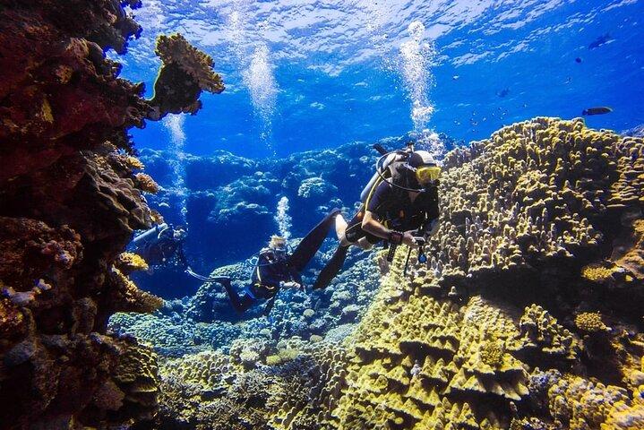 Entdecken Sie Hurghada Zwei aufregende Bootstauchgänge für zertifizierte Taucher
