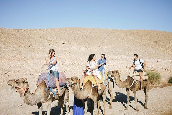 Sunrise Camel Ride and Breakfast in Agafay Desert from Marrakech