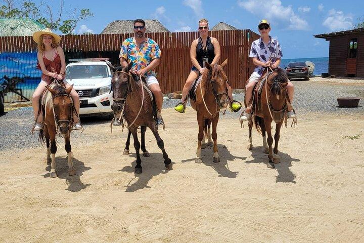 Roatan VIP Free-Style Private Tour