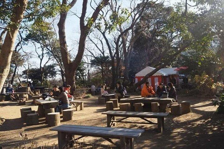 Da Tokyo : tour privato a piedi di Kamakura con Guida
