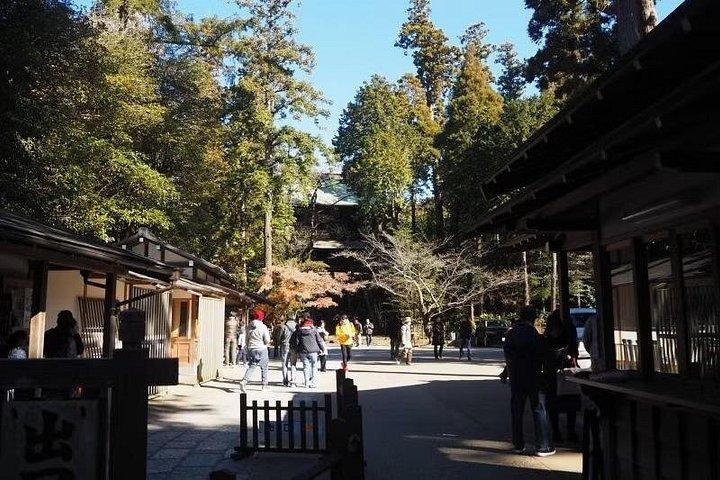 Da Tokyo : tour privato a piedi di Kamakura con Guida