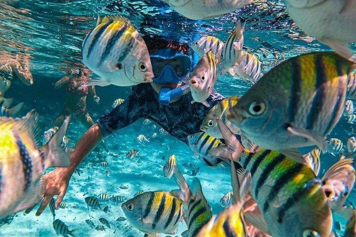 Private Bali snorkling ved blå lagune