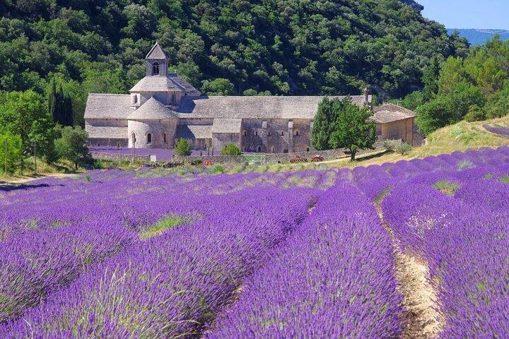 I punti salienti della Provenza in un giorno