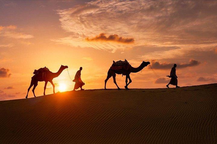 Exhilarating Desert Safari, Including BBQ Dinner from Dubai