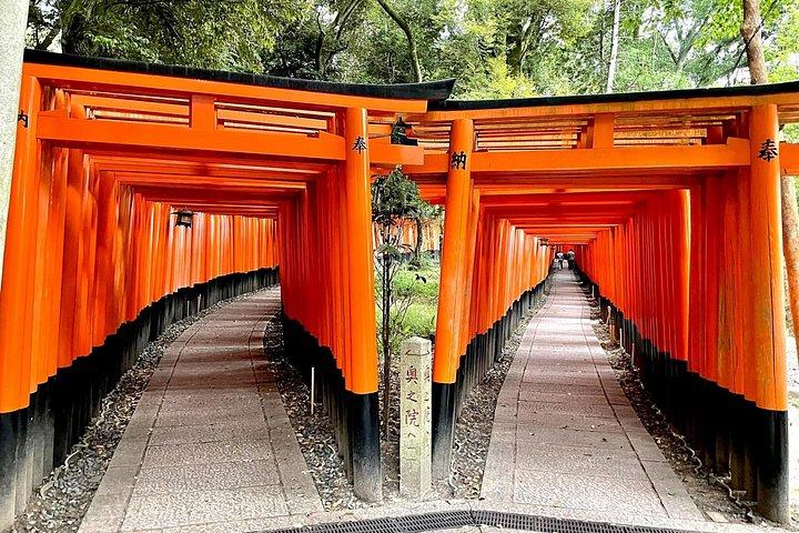Dagstur Kyoto fra Tokyo med en licenseret guide med Bullet Train