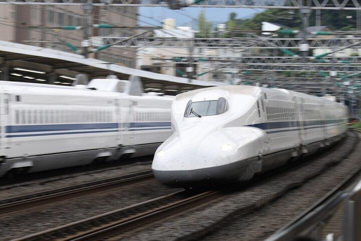 東京から新幹線で行く免許ガイド付き日帰り京都