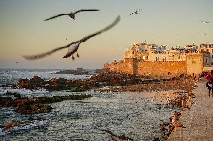 Full Day Shared Tour in Essaouira