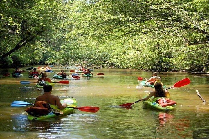 Excursão de meio dia em Phu Quoc no rio Cua Can