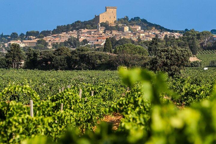 Wijnproeverij bij Châteauneuf du Pape