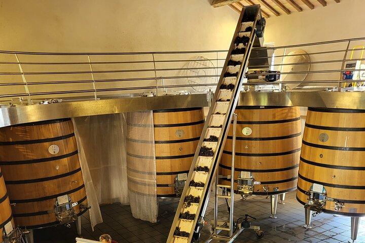 Wijnproeverij bij Châteauneuf du Pape