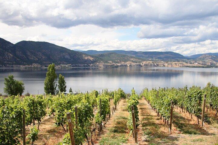 ナラマタ パブリック ワイン ツアー - 1 日