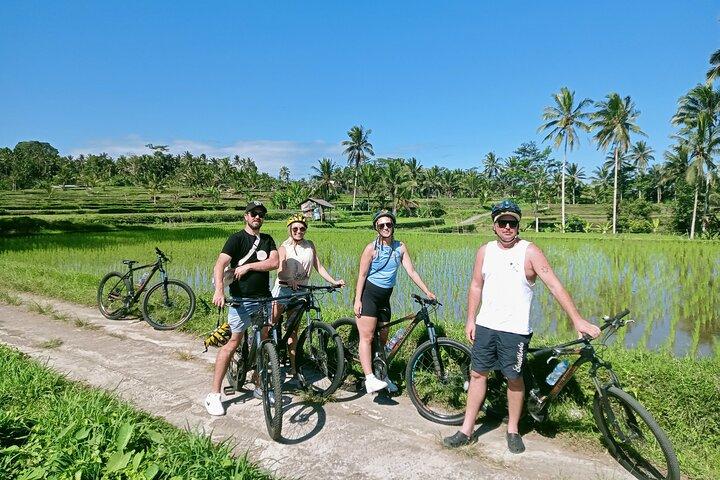 Privado Todo Incluido : Volcán a Ubud Tour en bicicleta cuesta abajo