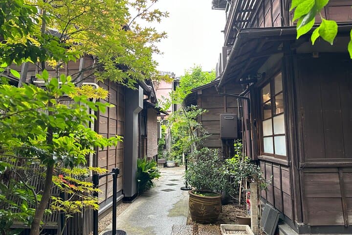 Tokyo : Yanaka and Nezu-Old Traditional Town Cultural Experience