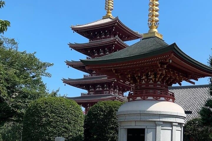 Customizable Private Tokyo Trip with an English Speaking Driver